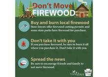 Don't Move Firewood
